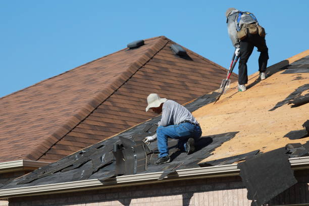 Best Roof Moss and Algae Removal  in Selmont West Selmont, AL